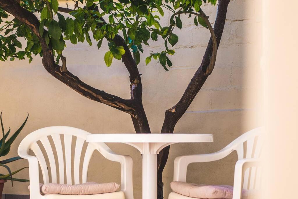 Apartment Lemon Tree *
